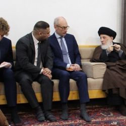 ديدار مرجع عالیقدر جهان تشیع سید محمدسعید حکیم (مدظله) با سفیر هلند وهيئت همراه